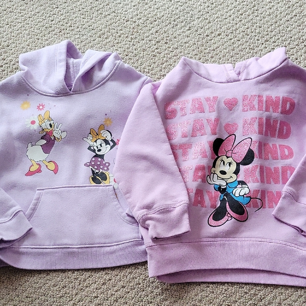 Disney Hoodie Bundle